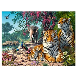 Пазлы 3000 "Заповедник"