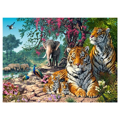 Пазлы 3000 "Заповедник"