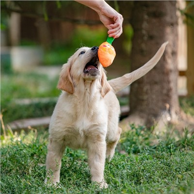 Игрушка для собак «Морковка» с пищалкой, 18 см, оранжевая