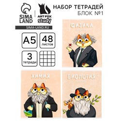 Тетради предметные, 48 л., А5, набор из 3 шт. «КОТэ»