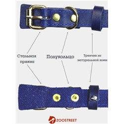 Ошейник безразмерный, 40×2 см, с подпряжником, кожа, синий