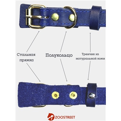 Ошейник безразмерный, 40×2 см, с подпряжником, кожа, синий