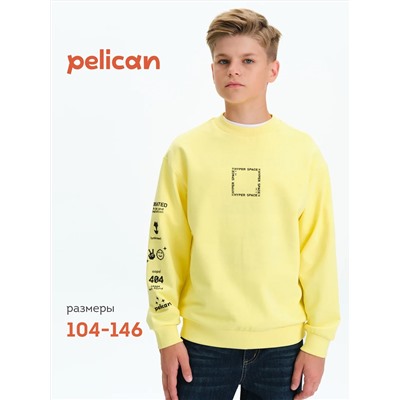 PELICAN Толстовка BFN3377