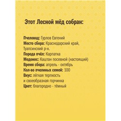 Мёд каштановый "Мишка" 450 гр пэт