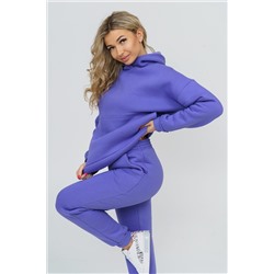 Костюм 36586 (худи + брюки) НАТАЛИ, 811075