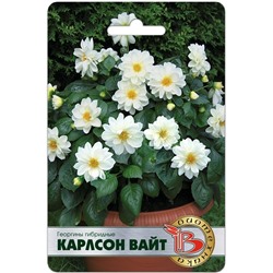Георгина Карлсон Вайт (Биотехника)
