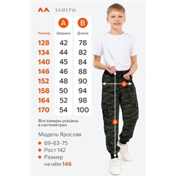 Брюки из футера двухнитки для мальчика Happyfox