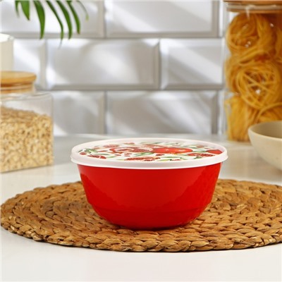 Набор мисок с крышкой Idiland «Гранат», 3 шт.: 1 л, 2 л, 3 л, пластик, красный