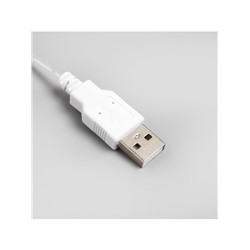 Гирлянда «Конский хвост» 8 нитей по 2 м, IP20, серебристая нить, 160 LED, свечение тёплое белое, USB