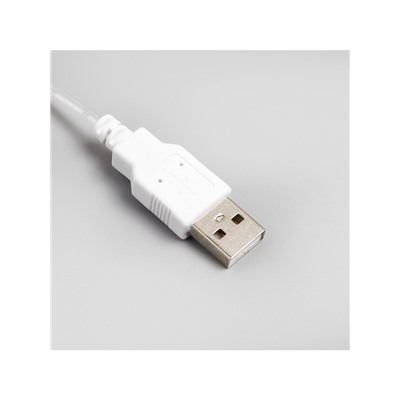 Гирлянда «Конский хвост» 8 нитей по 2 м, IP20, серебристая нить, 160 LED, свечение тёплое белое, USB