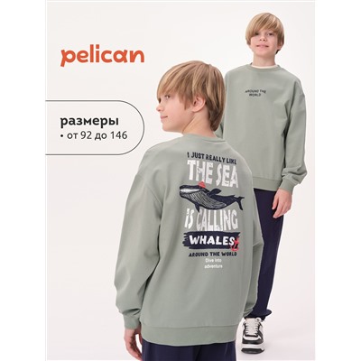PELICAN Толстовка BFN3371U