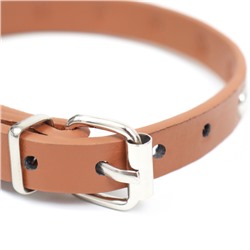 Ошейник «Пижон» клёпаный из искусственной кожи, 30.5×1 см, микс цветов