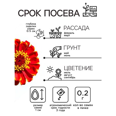 Семена цветов Цинния "Сомбреро", 0,2 г