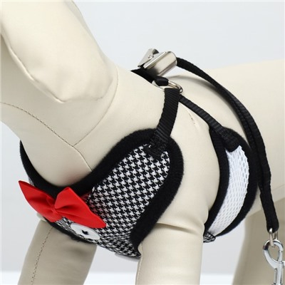 Комплект с мягкой шлейкой и бантиком, размер S, поводок 120×1.5 см, ОГ 23-42 см, серый