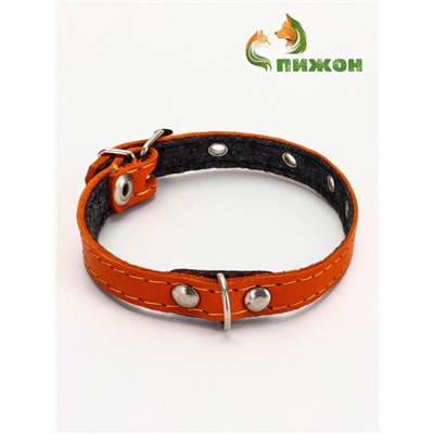 Ошейник, 30.5×1.2 см, ОШ 20-27 см, однослойный, неукрашенный, на фетре, кожа, оранжевый