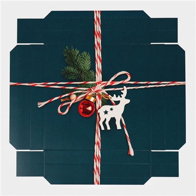 Коробка новогодняя складная «Новогодняя посылка», 26×26×8 см, Новый год