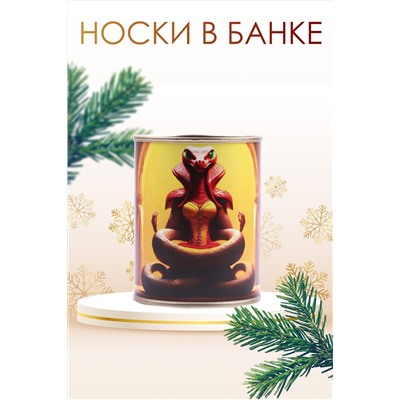 Носки стандарт в банке №GL1705 Змея дзен НАТАЛИ, 1052225