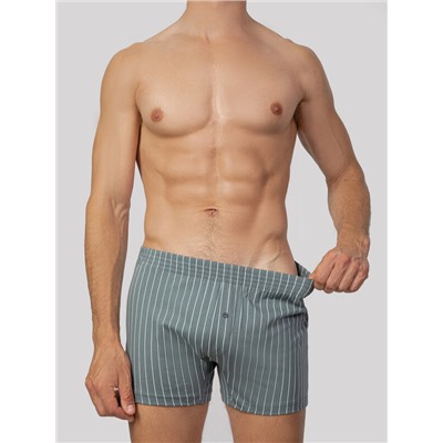 ТРУСЫ МУЖСКИЕ (2ШТ) 411152-2