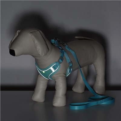 Комплект с мягкой шлейкой, быстросъемный, M, поводок 140 см, ОШ 44-48 ОГ 51-60 см, бирюзовый