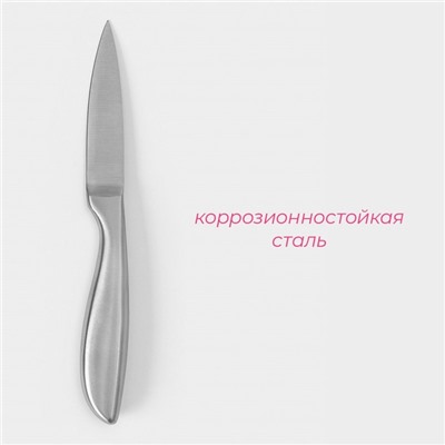 Нож для овощей кухонный Доляна Salomon, длина лезвия 9.5 см, серебристый