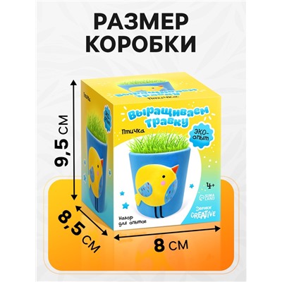 Набор для опытов, для детей «Выращиваем травку», растение в горшочке «Птичка»