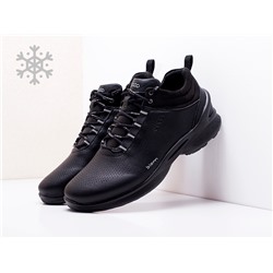 Зимние Ботинки Ecco