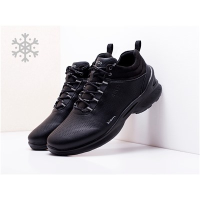 Зимние Ботинки Ecco