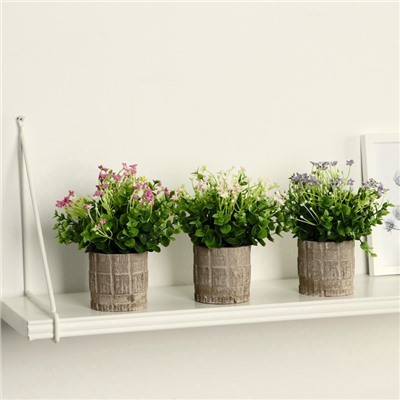 Искусственный цветок в горшке «Фиалка химера», 8×17 см, МИКС