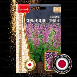 Шалфей Саммер Джевел левендер - Summer Jewel Lavender (Редкие)