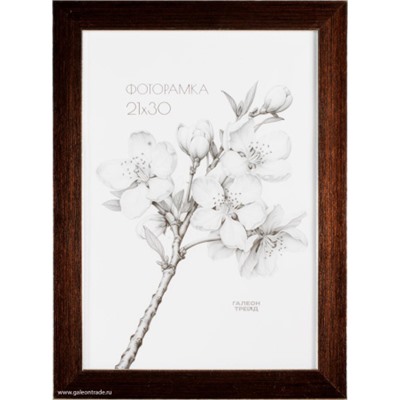 Фоторамка 21х30 / B2703C1-01L2 /уп10