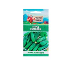 Семена Огурец «Кустовой», 0.5 г, «Рецепты дедушки Никиты»