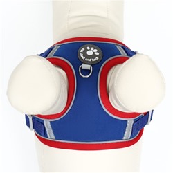Комплект Sport+, S, поводок 150×1.5 см, ОШ 39-41 см, ОГ 44-48 см, вес животного 7-13 кг, синий 96