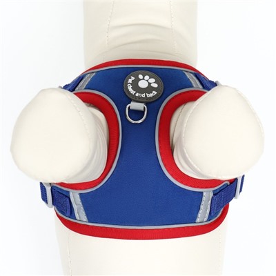 Комплект Sport+, S, поводок 150×1.5 см, ОШ 39-41 см, ОГ 44-48 см, вес животного 7-13 кг, синий 96