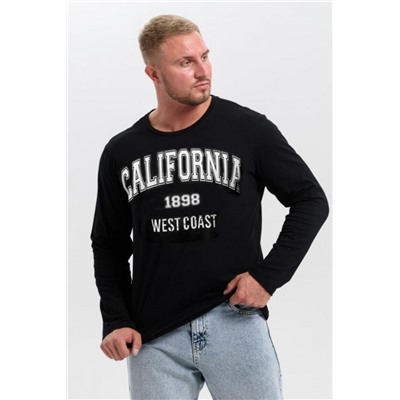 8573 футболка с дл.рукавом унисекс (Черный_калифорния)