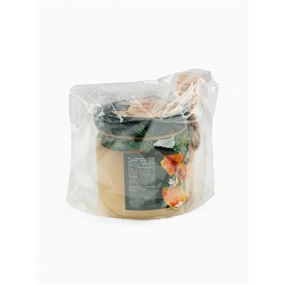 Мёд с маточным молочком «Счастья в Новом году», мёд 240 г, ложка