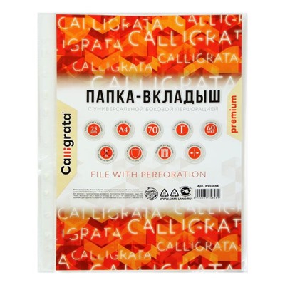 Файл-вкладыш А4, 60 мкм, Calligrata, плотные, глянцевый, вертикальный, 25 штук