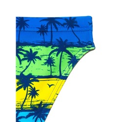 Плавки мал. ESLI PALM BEACH Плавки для мальчиков