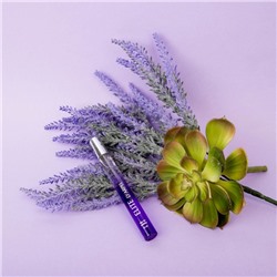 Туалетная вода для женщин «Elite D'Arpel» по мотивам Eclat D'Arpege, Lanvin, 15 мл