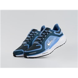 Кроссовки Nike Air Zoom Pegasus 41