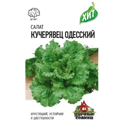 Салат Кучерявец Одесский хит