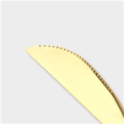 Столовые приборы «Оску», 24 предмета, в коробке, нержавеющая сталь, золотистые