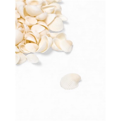 Набор ракушек декоративных 1.5-3 см, 100 г