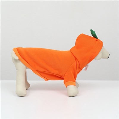 Толстовка «Любимая морковка», размер M (ДС 30, ОГ 44 см)