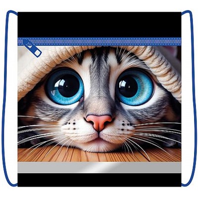 Сумка для сменной обуви 42х34 см СДС-71 "ГОЛУБОГЛАЗЫЙ КОТ 2026" с карманом на молнии и светоотражающей полосой Пчелка