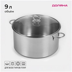 Кастрюля Доляна «Грейт», 9 л, индукция, нержавеющая сталь