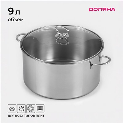 Кастрюля Доляна «Грейт», 9 л, индукция, нержавеющая сталь