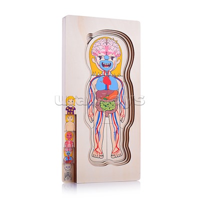 Пазл-вкладыш "Девочка"