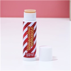 Бальзам для губ, 10 г, аромат шоколадного печенья, Чистое счастье