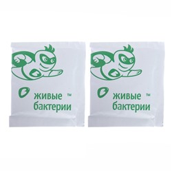 Средство для дачных туалетов и биотуалетов «Зелёная сосна» Биоактиватор, 300 г