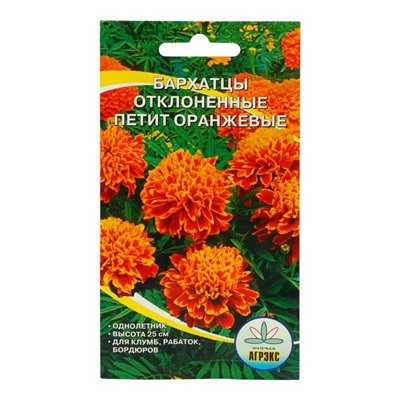 Семена Цветов однолетние Бархатцы «Петит оранжевые», отклонённые, махровые, 0.2 г